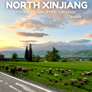 JUNE2026 SPRING NORTH XINJIANG