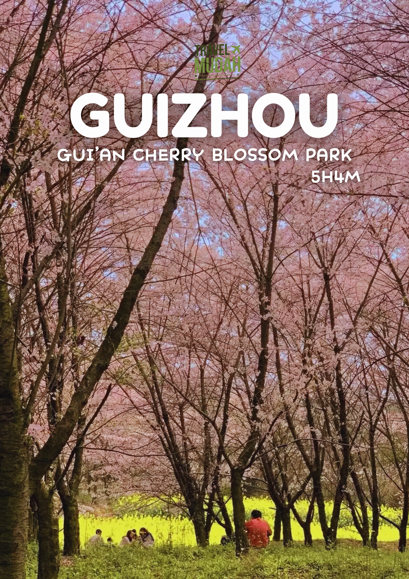 MAC2026 YUNNAN GUIZHOU CHERRY BLOSSOM
